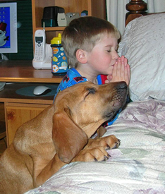 Praying-with-dog-3
